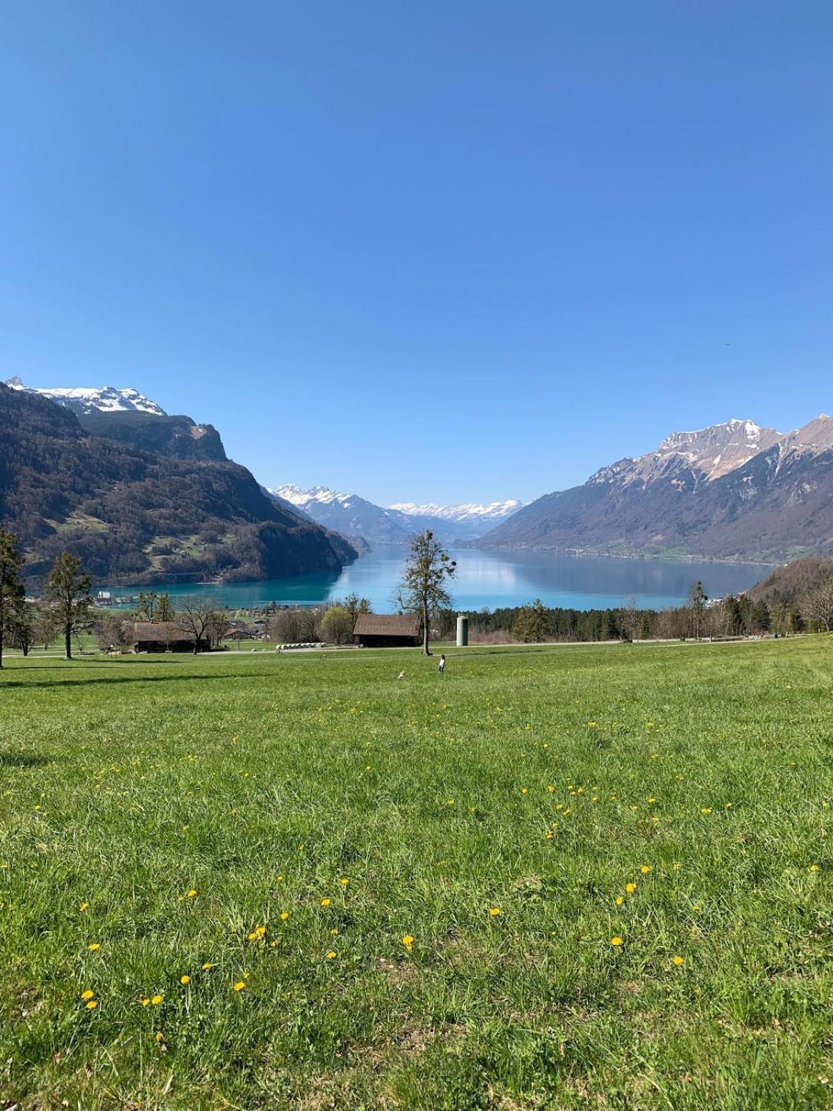 Alpine Feeling & Lakeside Kienholz